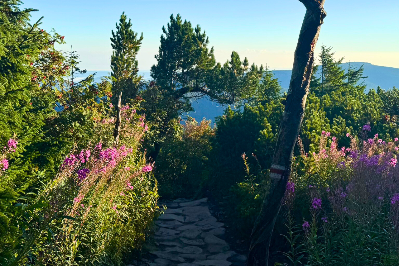 babia-gora-szlaki-turystyczne